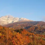 La Betulla