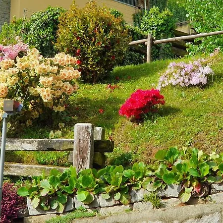 La Betulla Appartamento *